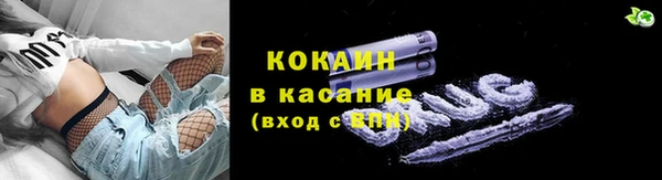 тгк Лиски