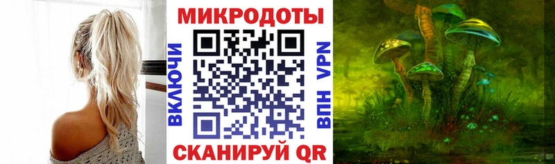 купить закладку Черногорск Галлюциногенные грибы ЛСД